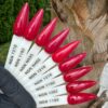 nicole PUDER KOLOR NSN 14G 28G 7210 1182 N530 N460 1210 1216 1193 1262 1199 nicole PUDER KOLOR NSN 14G 28G 7210 1182 N530 N460 1210 1216 1193 1262 1199