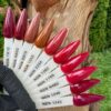 nicole PUDER KOLOR NSN 14G 28G 7810 N920 8910 1253 2234 1262 1199 N460 1246 1245 nicole PUDER KOLOR NSN 14G 28G 7810 N920 8910 1253 2234 1262 1199 N460 1246 1245