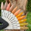 nicole PUDER KOLOR NSN 14G 28G 1146 N363 7900 G151 7712 G001 N054 1250 N154 1154 1155 nicole PUDER KOLOR NSN 14G 28G 1146 N363 7900 G151 7712 G001 N054 1250 N154 1154 1155