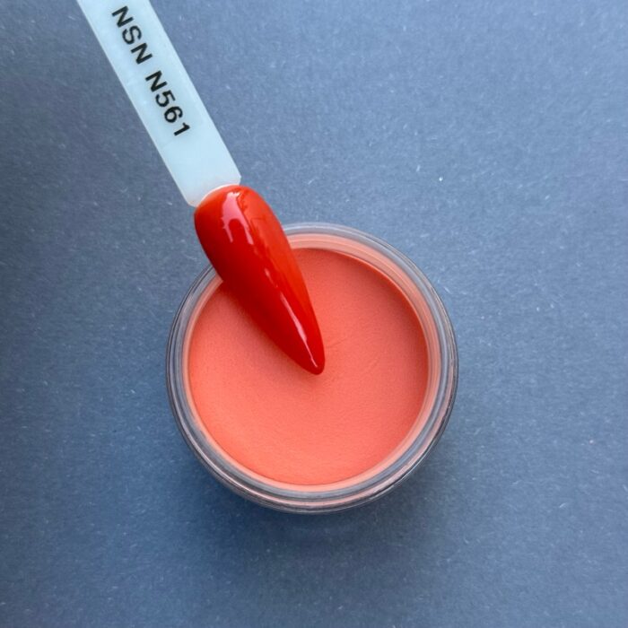 nicole puder kolor nsn N561 28g 14g