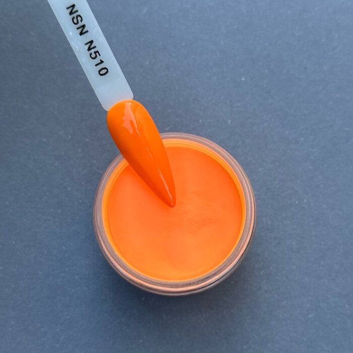 nicole puder kolor nsn N510 28g 14g