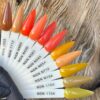 nicole PUDER KOLOR NSN 14G 28G 1253 7712 n960 n430 n561 n445 n054 n712 n154 1155 1154 nicole PUDER KOLOR NSN 14G 28G 1253 7712 n960 n430 n561 n445 n054 n712 n154 1155 1154