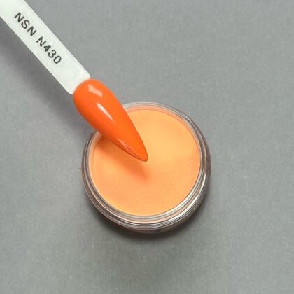 nicole puder kolor nsn N430 28g 14g