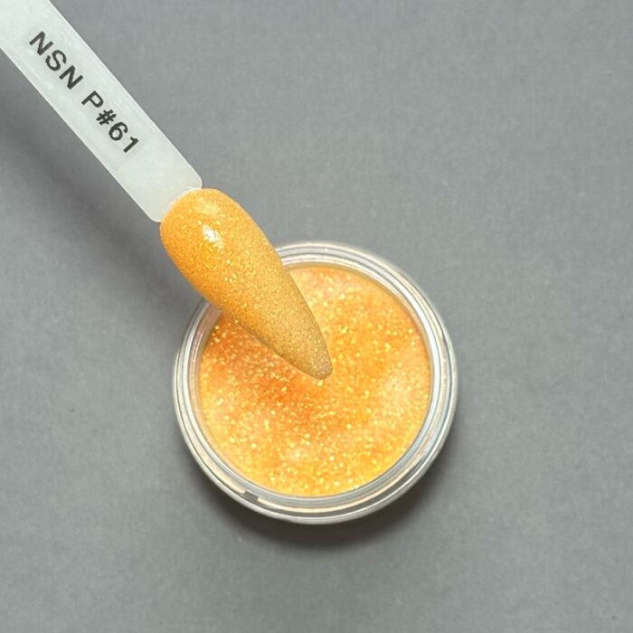 nicole puder kolor nsn P#61 28g 14g