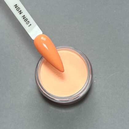 nicole puder kolor nsn N851 28g 14g
