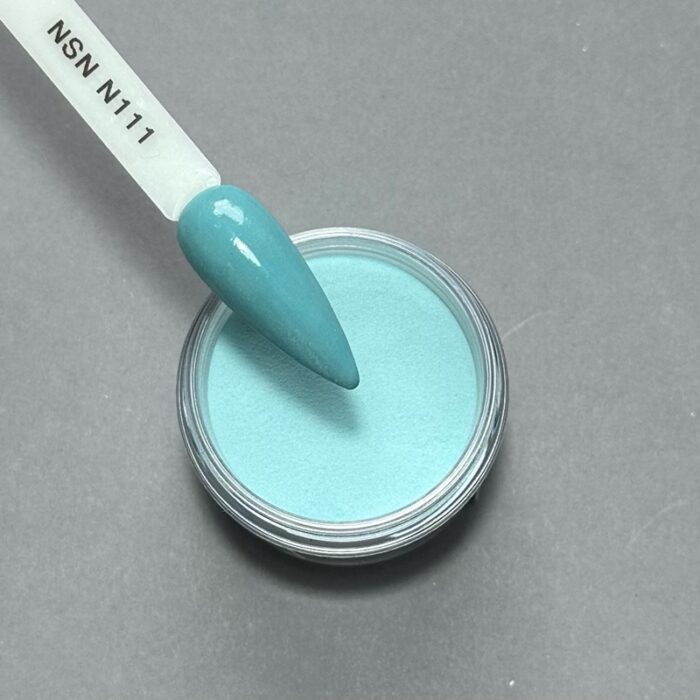 nicole puder kolor nsn N111 28g 14g