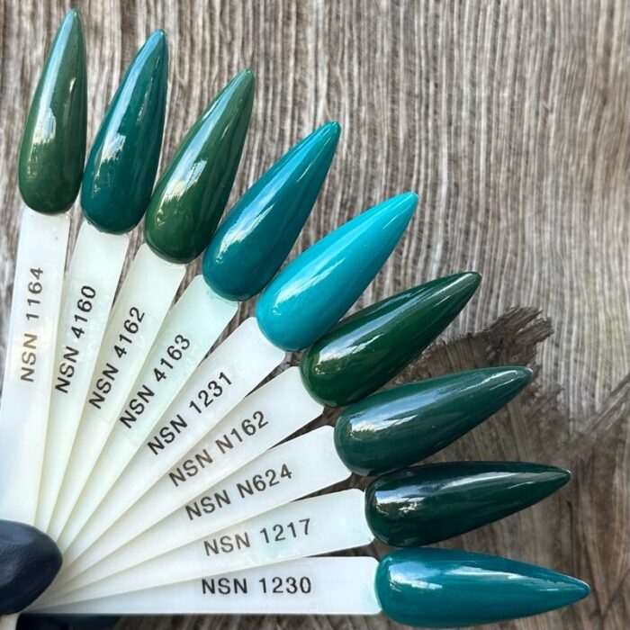 nicole puder kolor NSN 1164 4160 4162 4163 1231 N162 N624 1217 1230 28g 14g nails paznokcie manicure tytanowy paznokcie tytanowe