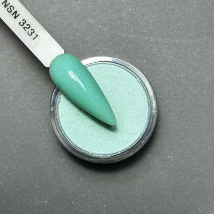 nicole puder kolor NSN 3231 28g 14g nails paznokcie manicure tytanowy paznokcie tytanowe