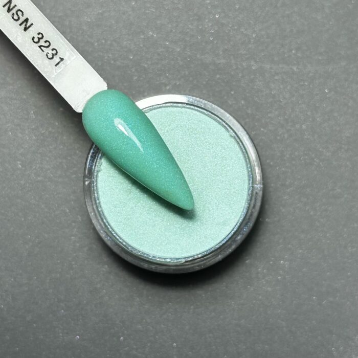 nicole puder kolor NSN 3231 28g 14g nails paznokcie manicure tytanowy paznokcie tytanowe